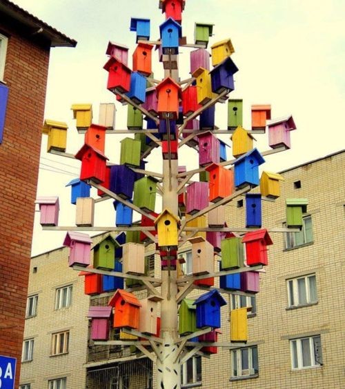 bird house tree